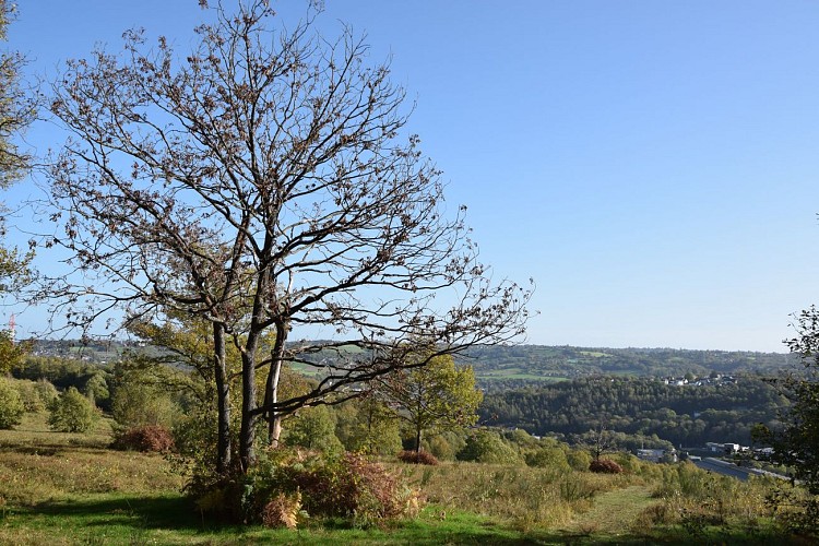 D'Angleur au Blanc-Gravier