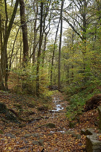 D'Angleur au Blanc-Gravier