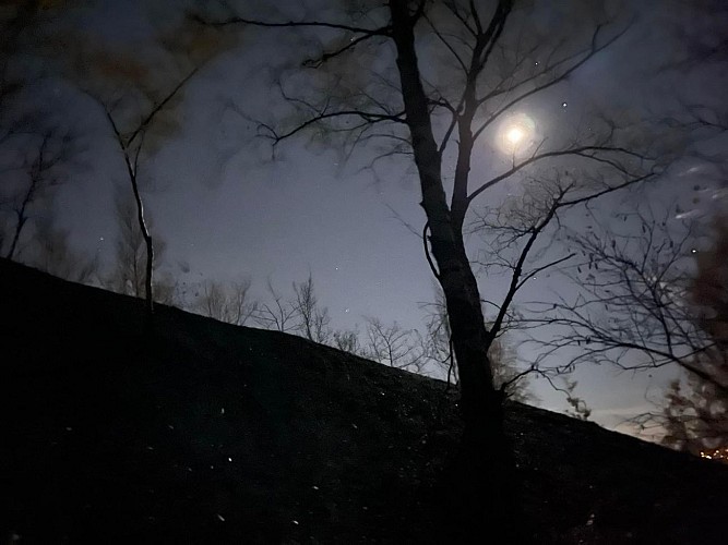 MoonWalk Saive-Banneux sur le GR5 en grande partie