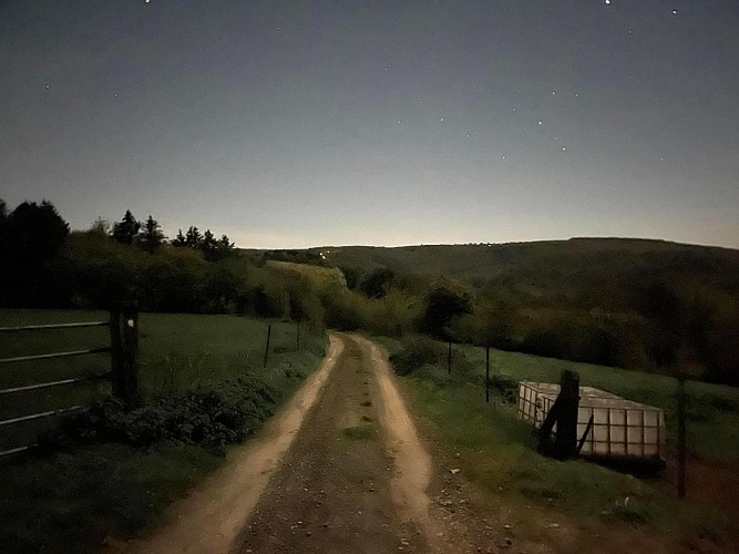 MoonWalk Saive-Banneux sur le GR5 en grande partie