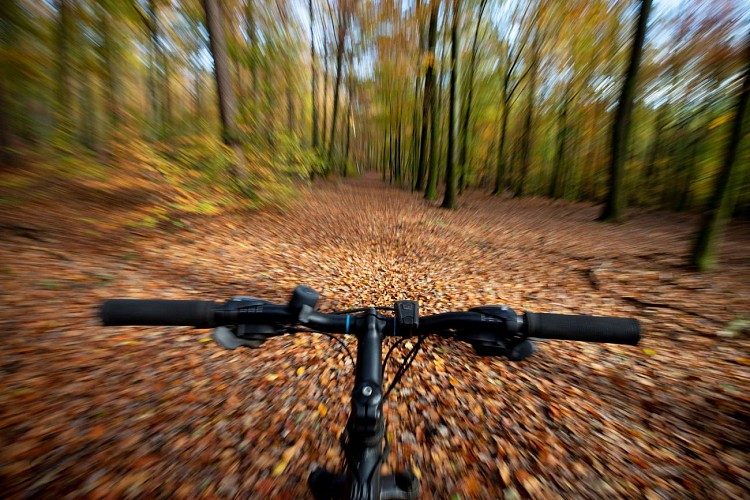 Vtt-foret©dbcreaton-MTFSH (7)