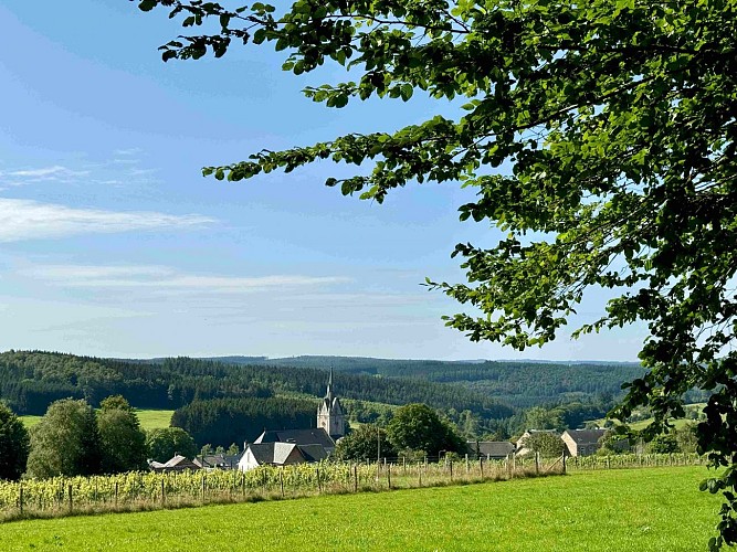 Passage-des-chevres-variante©MTFSH-TEXTO_Pascal_Willems_(82)