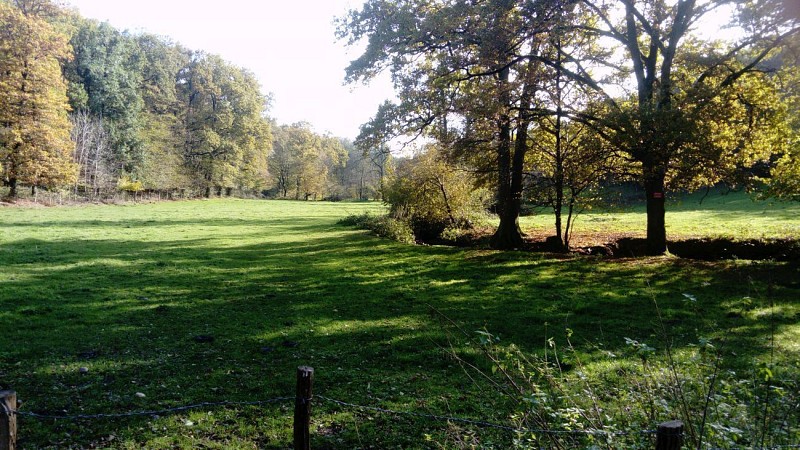 De Feyzin à Irigny - Le GR® 169 autour de Lyon (sens anti-horaire)