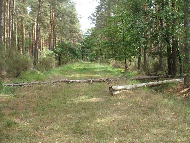 145.Bois au Gué.GR de pays (variante).