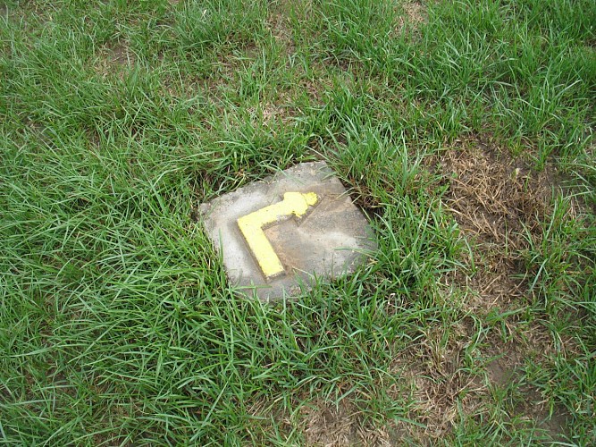 160.Beaugency.(45).GR3.Sentier historique.Flèche directionnelle au sol.