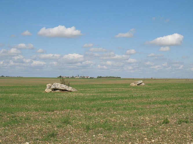 185.Ouzouer-le-Marché.(41).Tripleville.Chemin des Moines.Les Pierres de Gargantua.