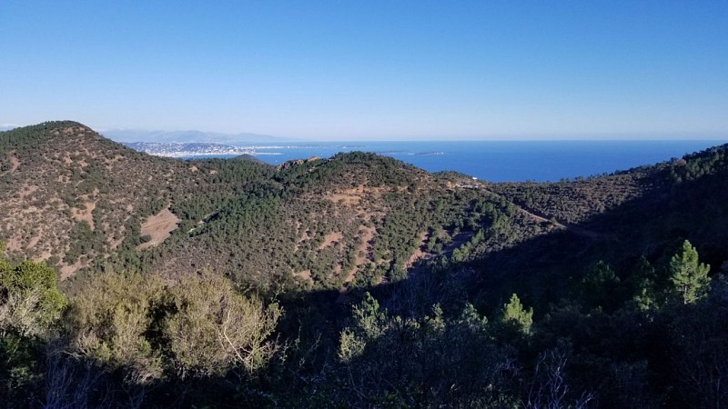 Boucle des 3 cols:Belle-Barbe, col des Lentisques, col Notre-Dame