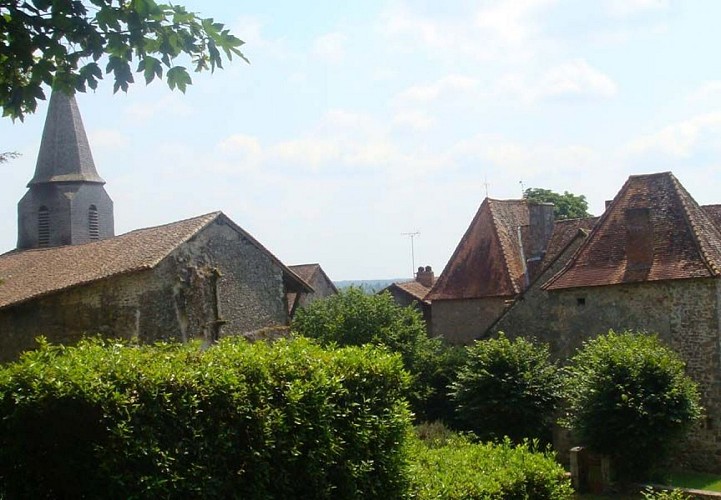 Les trois forêts : les sentiers de Burgou