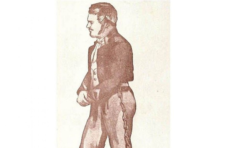 Les trois forêts : les sentiers de Burgou