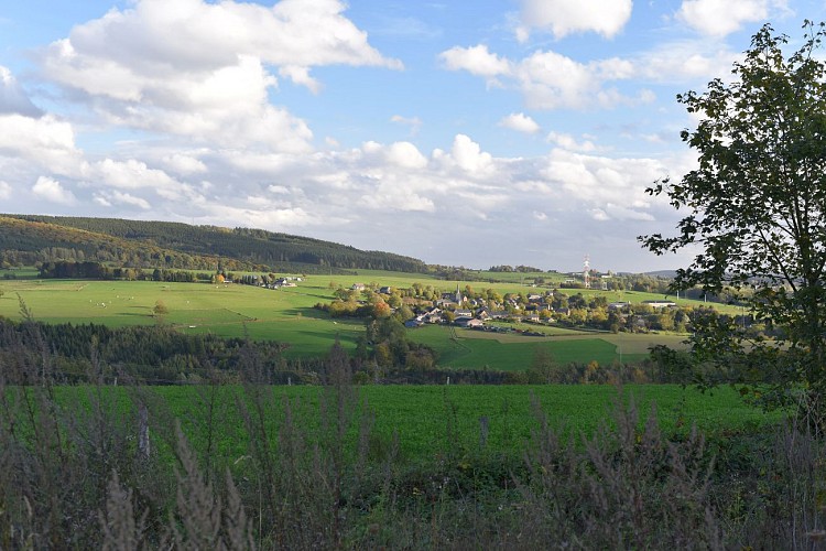 Bois d'Arlogne - Marcourt ( Commune RENDEUX )