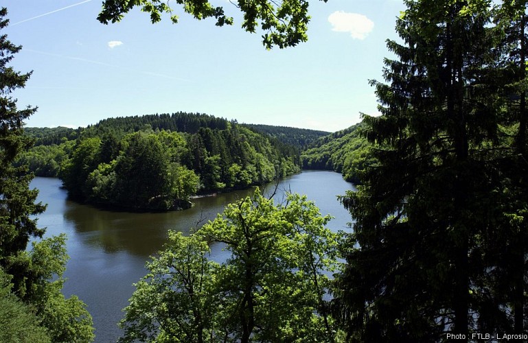 Confjuent des 2 Ourthes