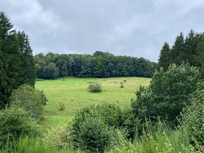 Moulin de spitanche - mes balades nos balades (79)