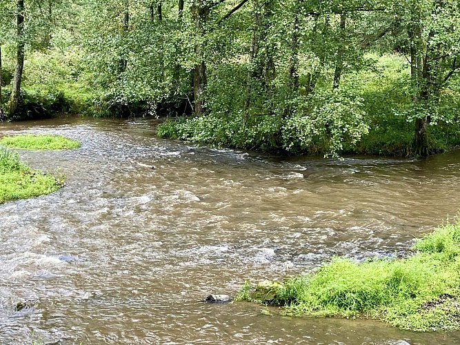 Moulin de spitanche - mes balades nos balades (73)