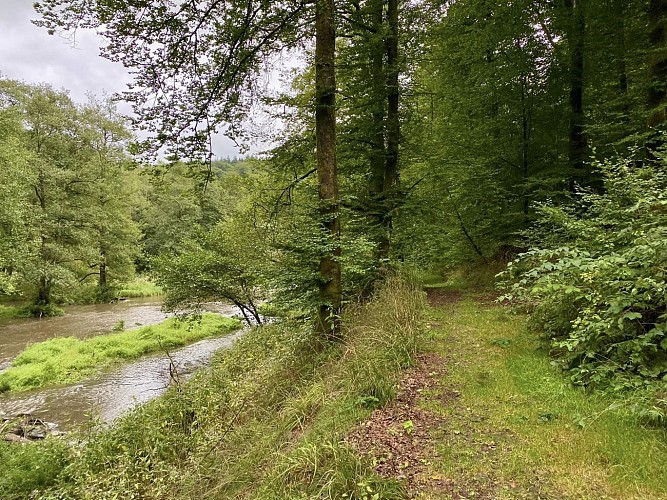 Moulin de spitanche - mes balades nos balades (65)