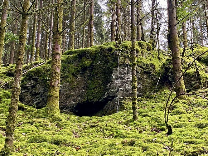Moulin de spitanche - mes balades nos balades (76)