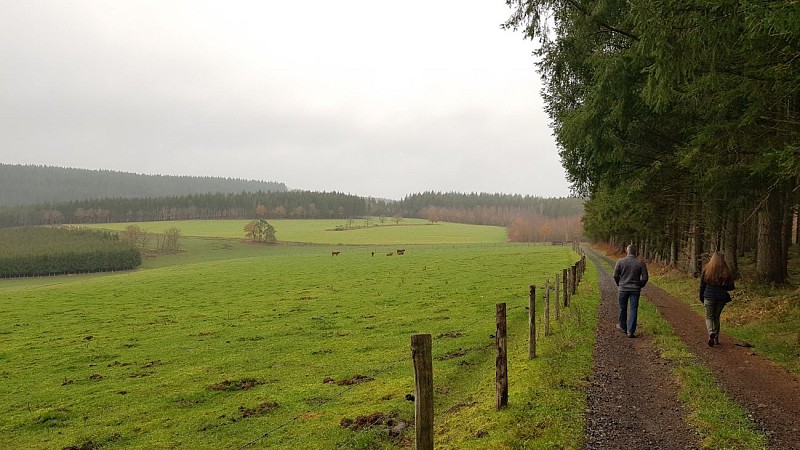 Nabiselle-Suhet-Colette Mottet (3)