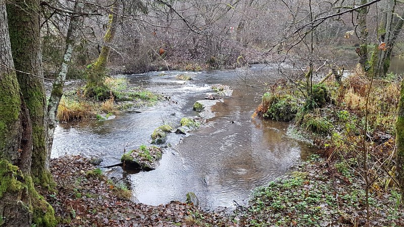 Nabiselle-Suhet-Colette Mottet (5)