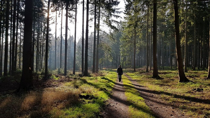 SANSINRI (Commune de EREZEE)