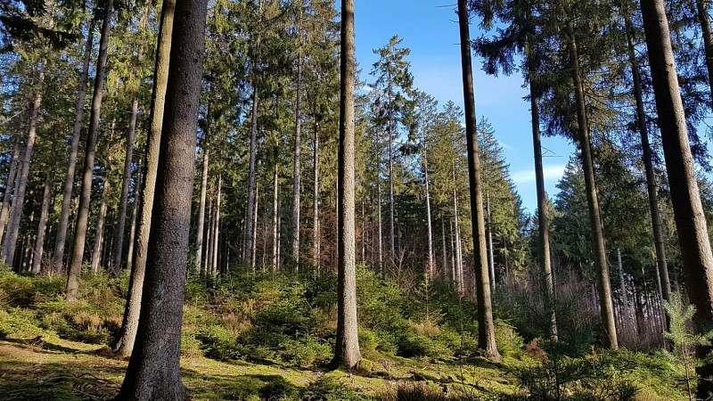 SANSINRI (Commune de EREZEE)