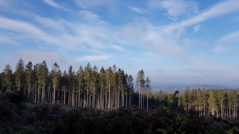 SANSINRI (Commune de EREZEE)