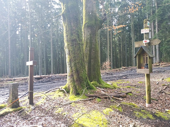 1 Croix Ste Jehenne et autel