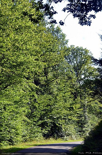 Promenade de Boeur