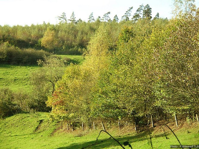 LI PEURE (Mormont - Commune EREZEE)