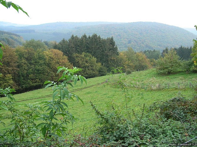 LI PEURE (Mormont - Commune EREZEE)