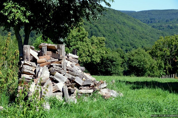 LI PEURE (Mormont - Commune EREZEE)