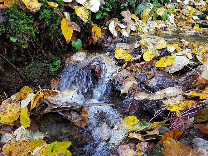 Nadrin - "Promenade Hérou" (6)