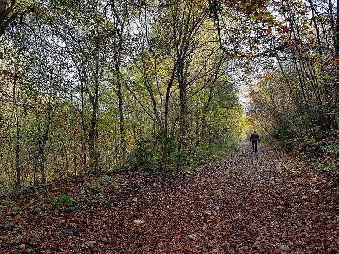 Nadrin - "Promenade Hérou" (6)