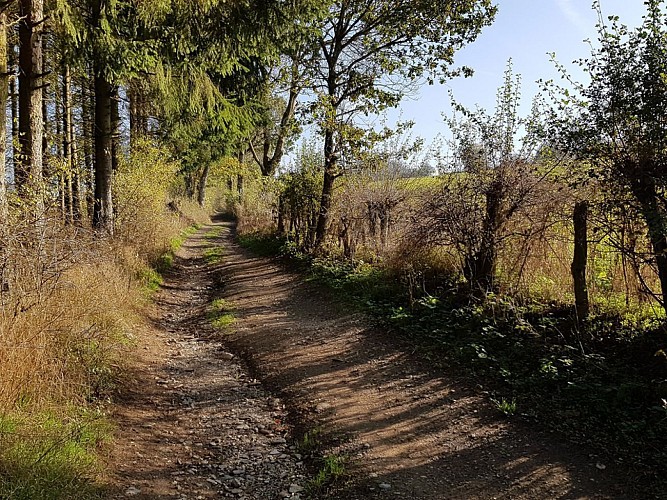 Nadrin - "Promenade Hérou" (6)