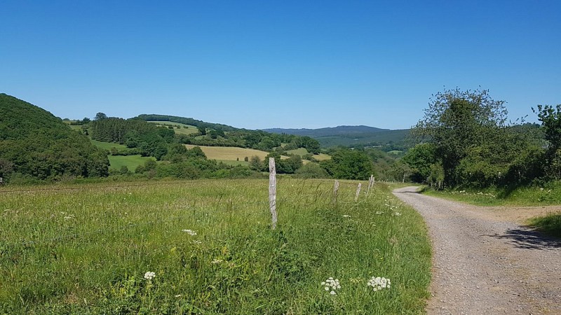 REFUGE (Fanzel Commune EREZEE)