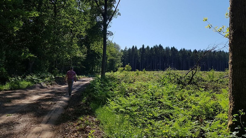 REFUGE (Fanzel Commune EREZEE)