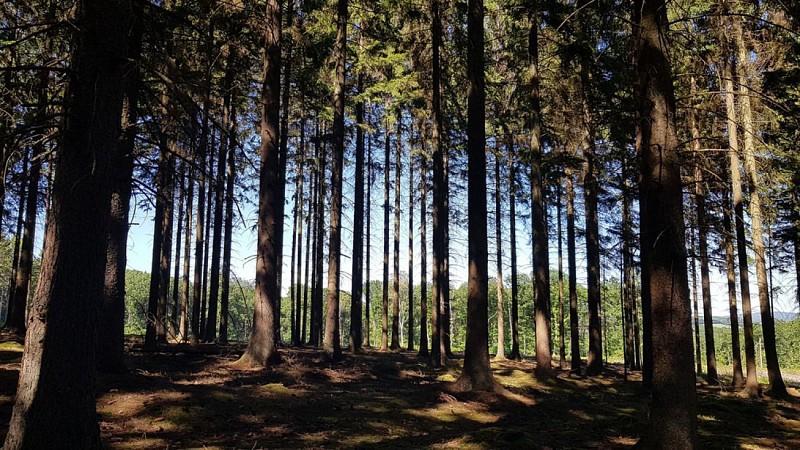 REFUGE (Fanzel Commune EREZEE)