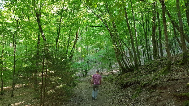 REFUGE (Fanzel Commune EREZEE)