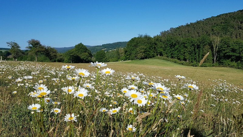 REFUGE (Fanzel Commune EREZEE)