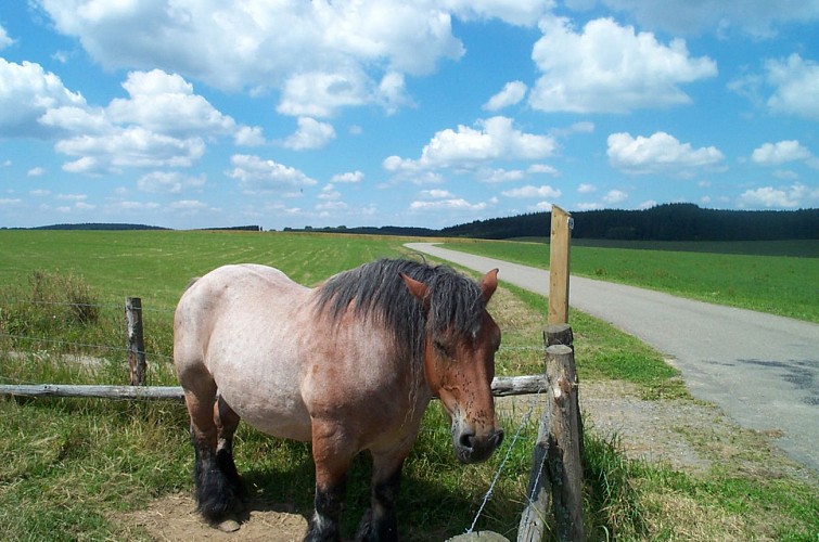 LES ROCHES (Commune EREZEE)