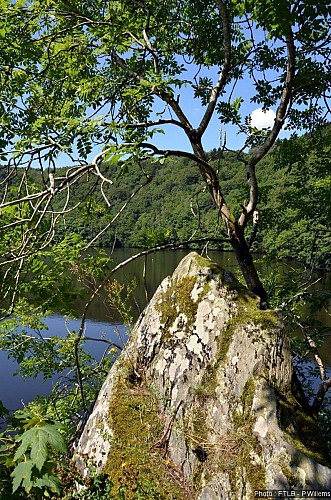 Nadrin - "Promenade Barrage" (14)