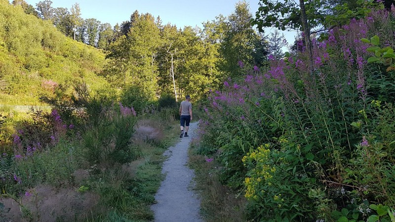 Achouffe - Promenade de la "Vallée des Fées" (27)