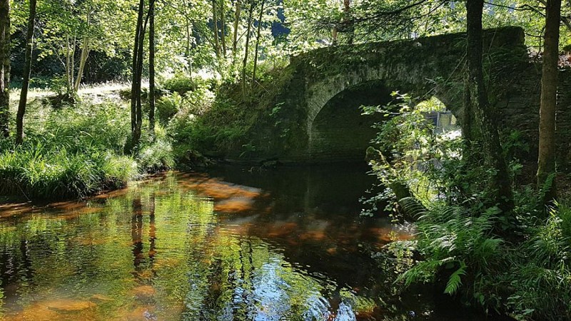 Achouffe - Promenade de la "Vallée des Fées" (27)