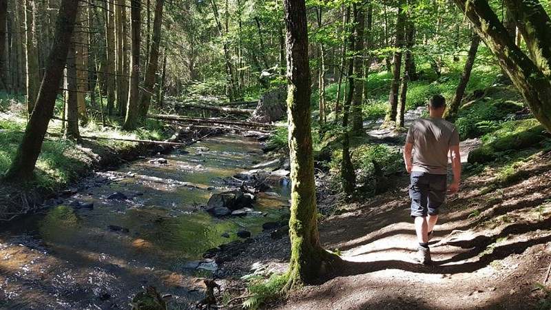 Achouffe - Promenade de la "Vallée des Fées" (27)