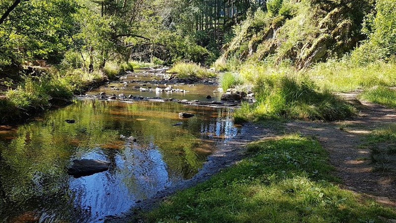 Achouffe - Promenade de la "Vallée des Fées" (27)