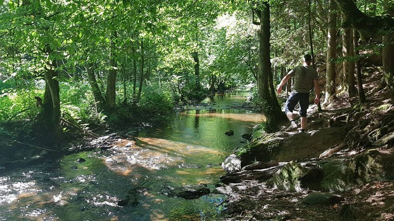 Achouffe - Promenade de la "Vallée des Fées" (27)