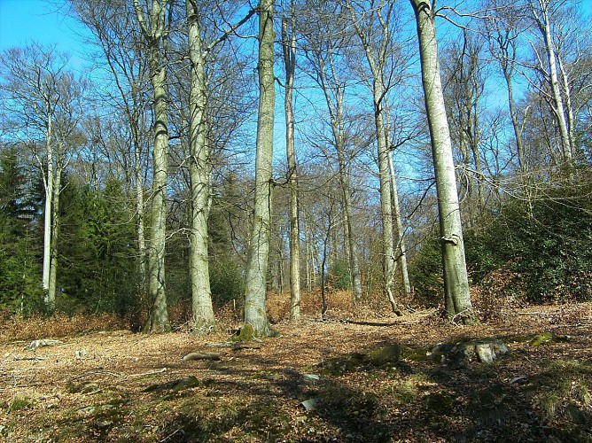 La Roche-en-Ardenne - "Promenade Royen"