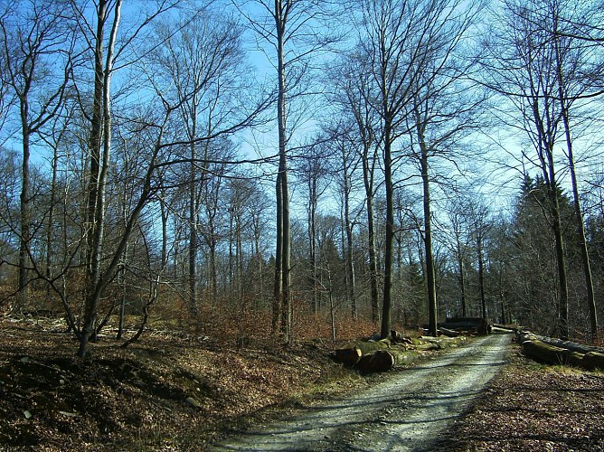 La Roche-en-Ardenne - "Promenade Royen"