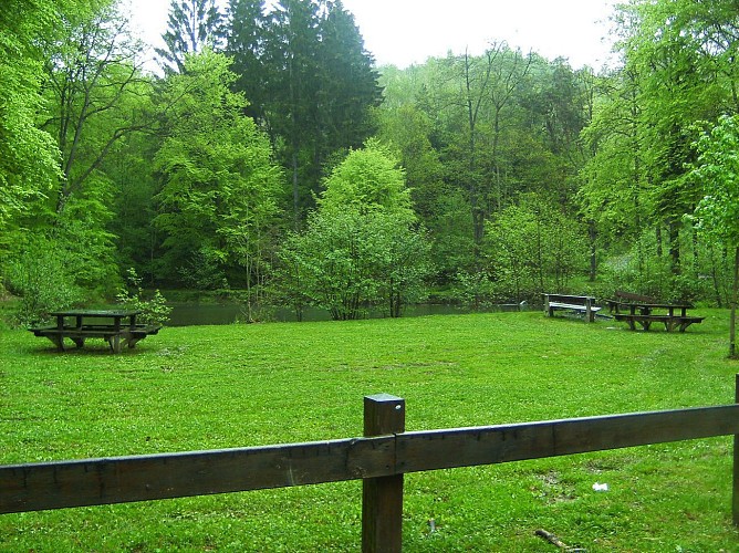 La Roche-en-Ardenne - "Promenade Samrée"