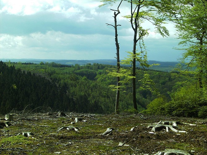 La Roche-en-Ardenne - "Promenade Samrée"
