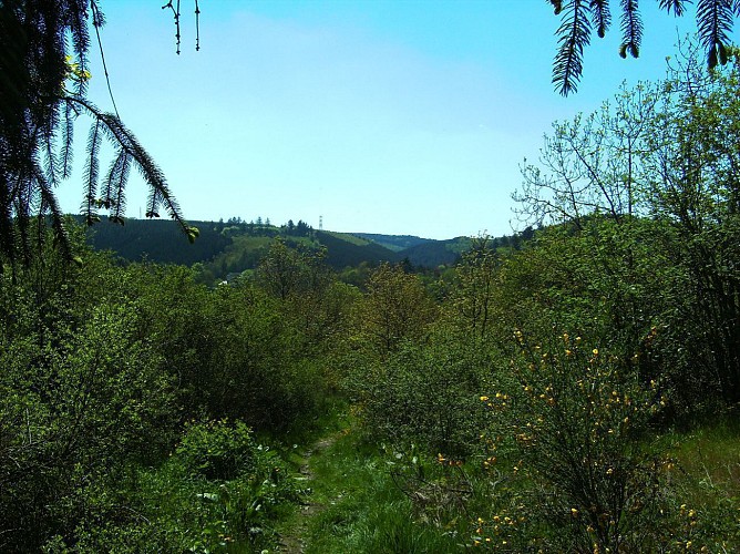 La Roche-en-Ardenne - "Promenade Samrée"