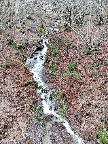 La Roche-en-Ardenne - "promenade Vallée des Tombes"